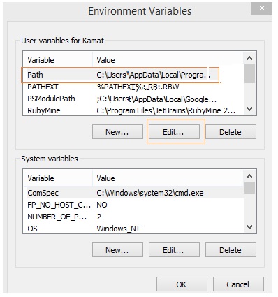 Environment Variable