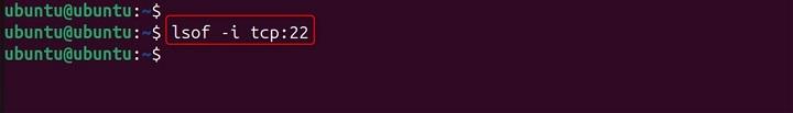 lsof Command in Linux14