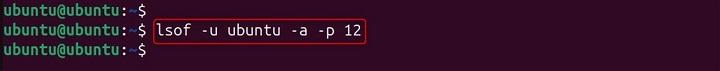 lsof Command in Linux16